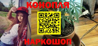 амф Севастополь