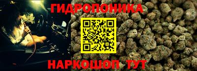 амф Севастополь