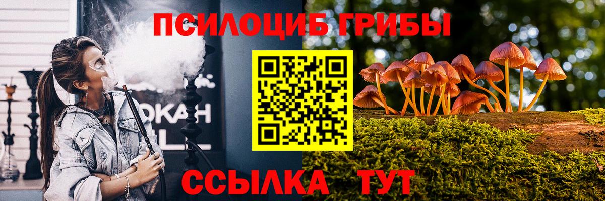 Псилоцибиновые грибы мицелий  Вход с VPN  Рязань  Псилоцибиновые грибы Magic Shrooms 
