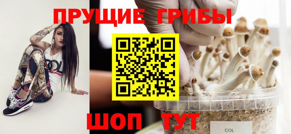 Галлюциногенные грибы Psilocybe Рязань